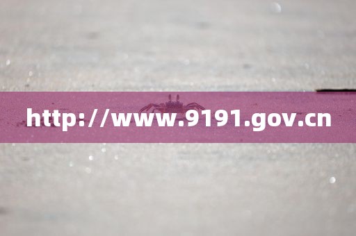 http://www.9191.gov.cn