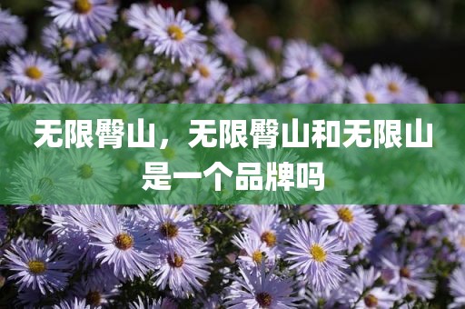 无限臀山，无限臀山和无限山是一个品牌吗