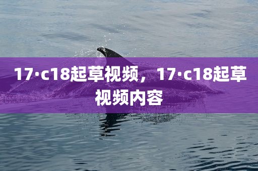 17·c18起草视频，17·c18起草视频内容