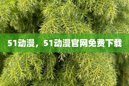 51动漫，51动漫官网免费下载