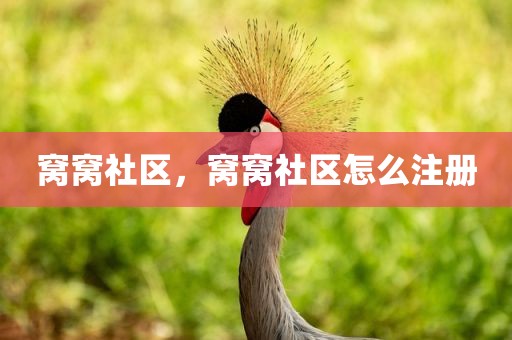 窝窝社区，窝窝社区怎么注册