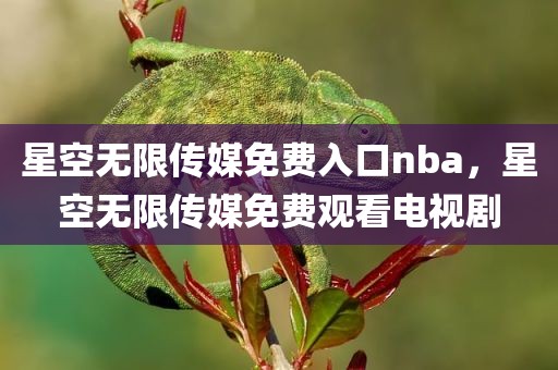 星空无限传媒免费入口nba，星空无限传媒免费观看电视剧