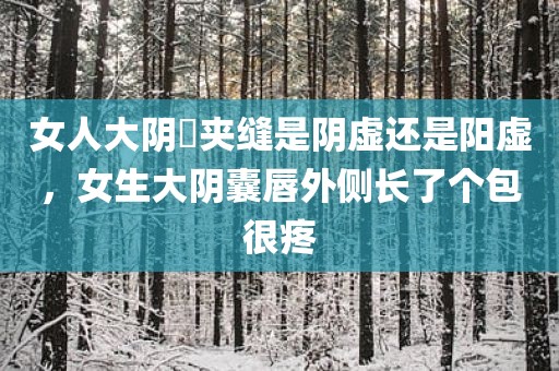 女人大阴脣夹缝是阴虚还是阳虚，女生大阴囊唇外侧长了个包很疼