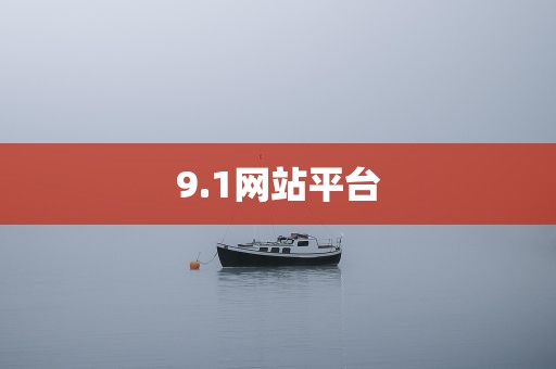 9.1网站平台