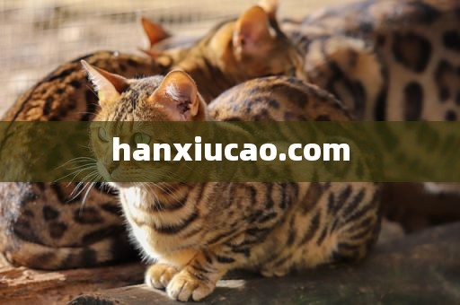 hanxiucao.com