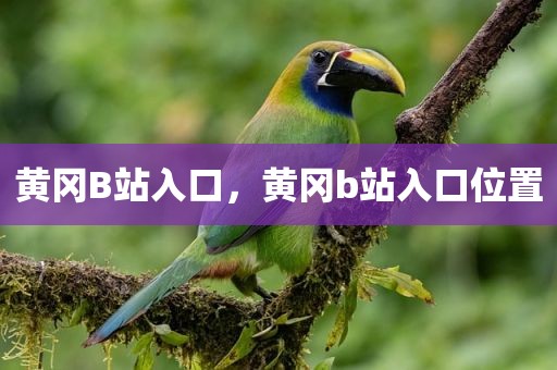 黄冈B站入口，黄冈b站入口位置