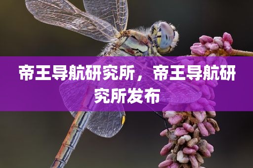 帝王导航研究所，帝王导航研究所发布