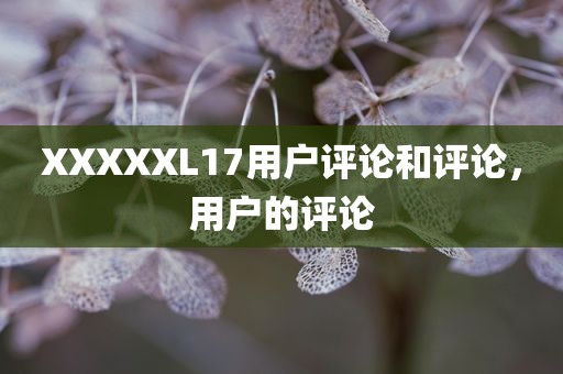 XXXXXL17用户评论和评论，用户的评论