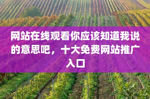 网站在线观看你应该知道我说的意思吧，十大免费网站推广入口