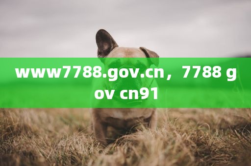 www7788.gov.cn，7788 gov cn91