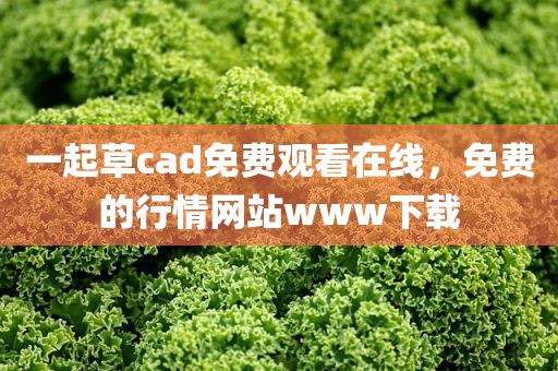 一起草cad免费观看在线，免费的行情网站www下载