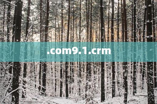 .com9.1.crm