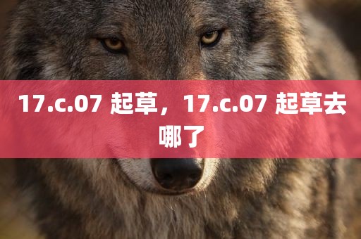 17.c.07 起草，17.c.07 起草去哪了