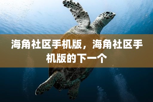 海角社区手机版，海角社区手机版的下一个