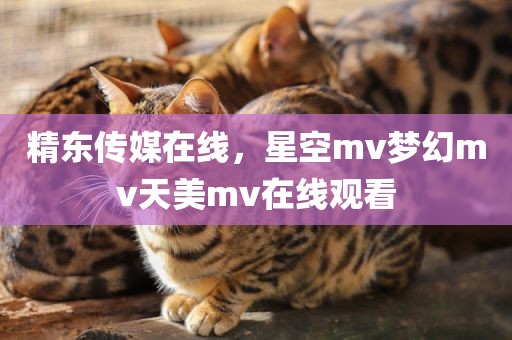 精东传媒在线，星空mv梦幻mv天美mv在线观看