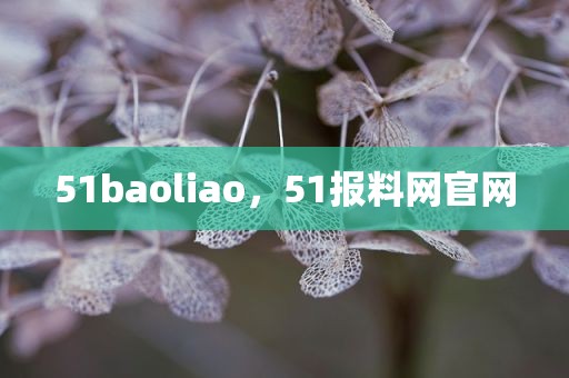 51baoliao，51报料网官网