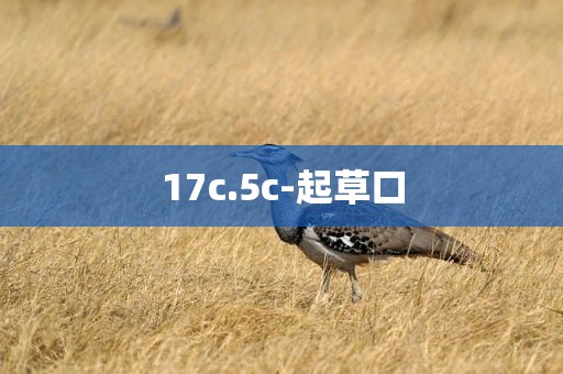 17c.5c-起草口