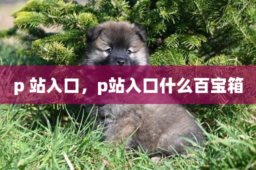 p 站入口，p站入口什么百宝箱