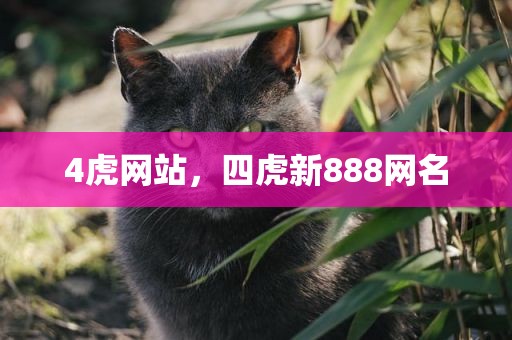 4虎网站，四虎新888网名