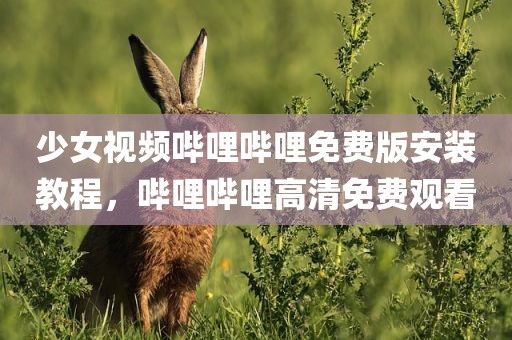 少女视频哔哩哔哩免费版安装教程，哔哩哔哩高清免费观看