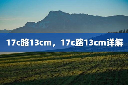 17c路13cm，17c路13cm详解