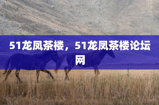 51龙凤茶楼，51龙凤茶楼论坛网
