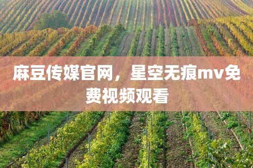 麻豆传媒官网，星空无痕mv免费视频观看