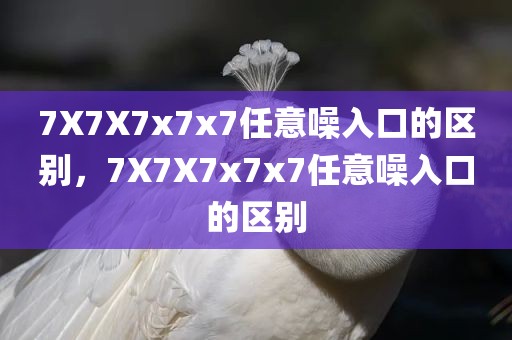 7X7X7x7x7任意噪入口的区别，7X7X7x7x7任意噪入口的区别