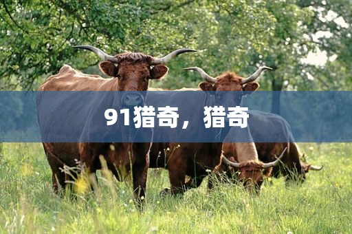 91猎奇，猎奇