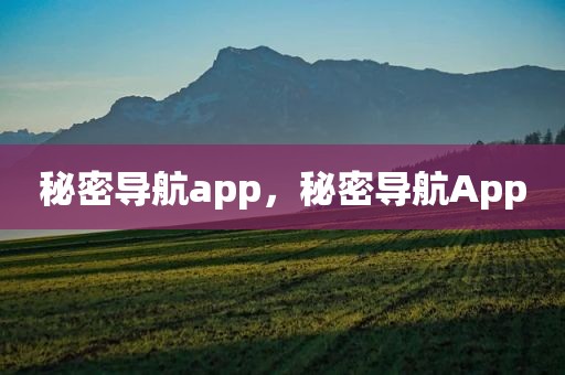 秘密导航app，秘密导航App