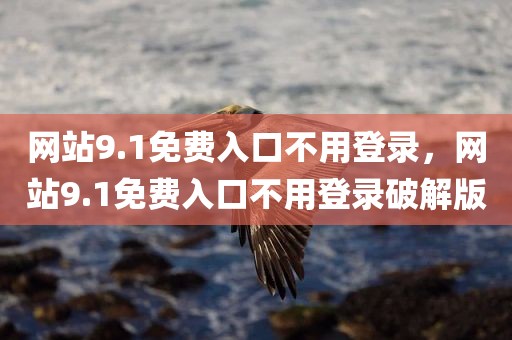 网站9.1免费入口不用登录，网站9.1免费入口不用登录破解版