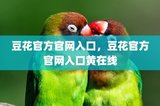 豆花官方官网入口，豆花官方官网入口黄在线