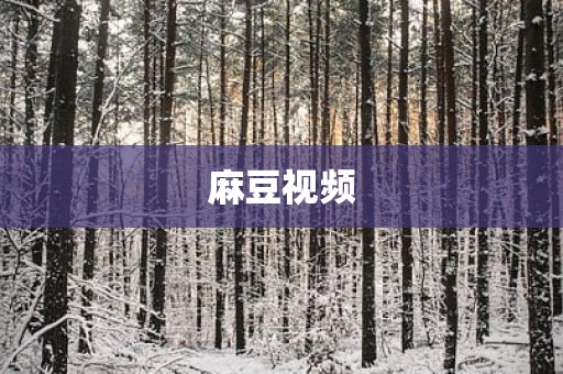 麻豆视频