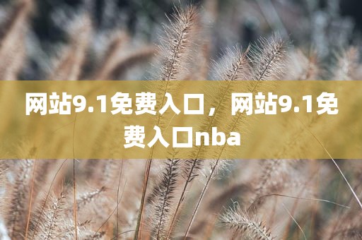 网站9.1免费入口，网站9.1免费入口nba