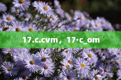 17.c.cvm，17·c_om