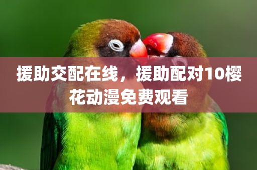 援助交配在线，援助配对10樱花动漫免费观看