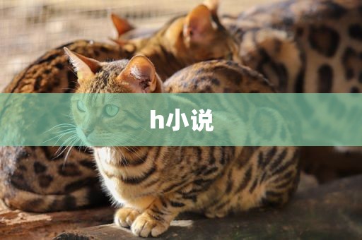 h小说