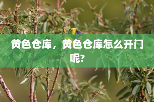 黄色仓库，黄色仓库怎么开门呢?