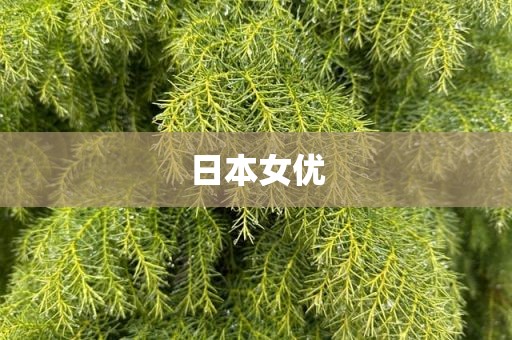 日本女优