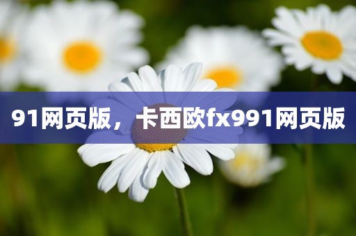 91网页版，卡西欧fx991网页版