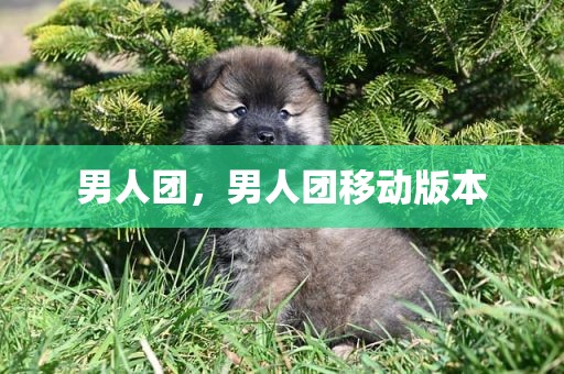 男人团，男人团移动版本