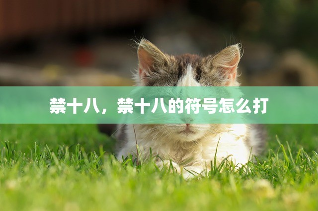 禁十八，禁十八的符号怎么打