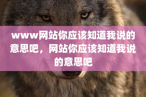www网站你应该知道我说的意思吧，网站你应该知道我说的意思吧