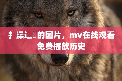 扌澡辶畐的图片，mv在线观看免费播放历史