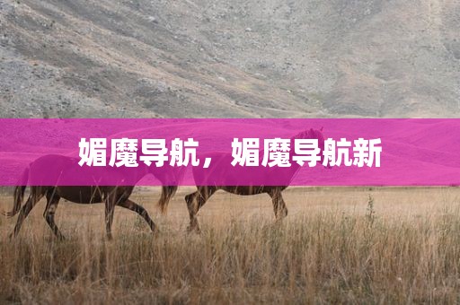媚魔导航，媚魔导航新