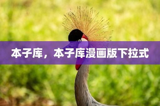 本子库，本子库漫画版下拉式