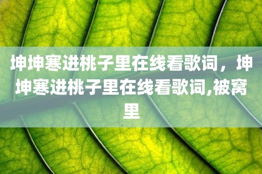 坤坤寒进桃子里在线看歌词，坤坤寒进桃子里在线看歌词,被窝里