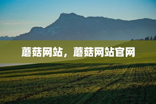 蘑菇网站，蘑菇网站官网