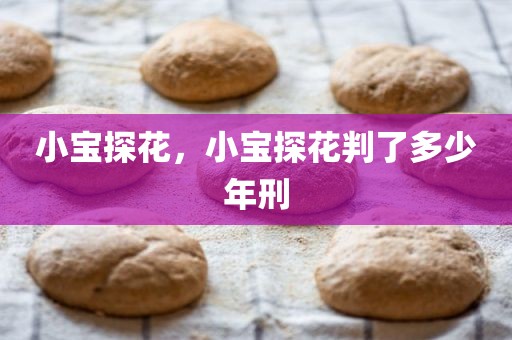 小宝探花，小宝探花判了多少年刑