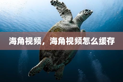 海角视频，海角视频怎么缓存